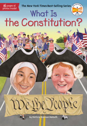 What the constitution - what,