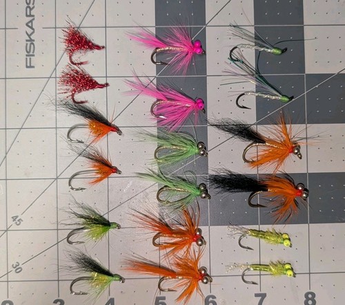 18 each alaska salmon - #6.,