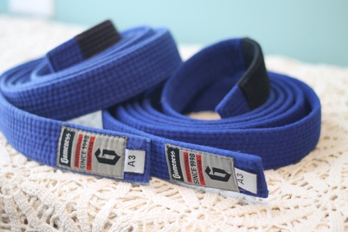 Gameness blue belts - a3,