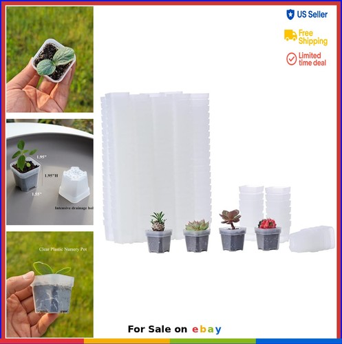 200 pack inch clear - pack,