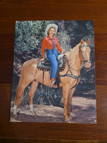 Cowgirl beauty her palamino - cowgirl,