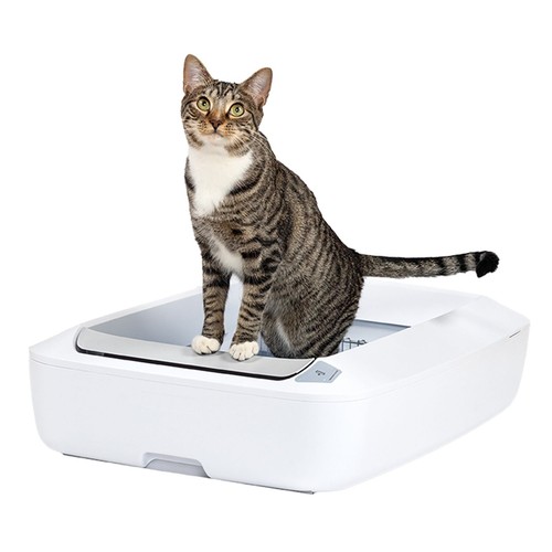 Petsafe scoopfree crystal plus - crystal,