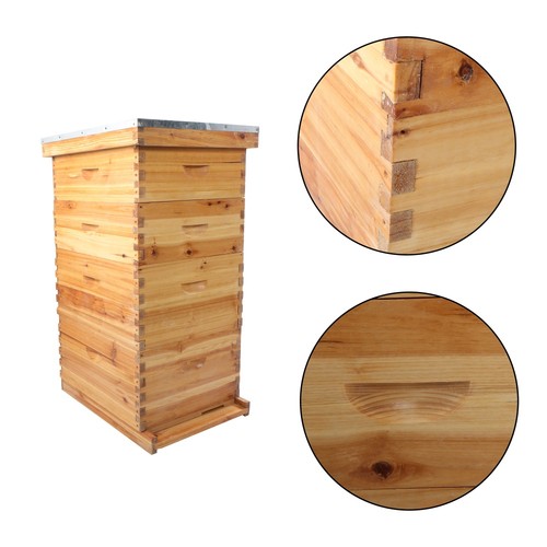 Layer complete beehive box - 4,