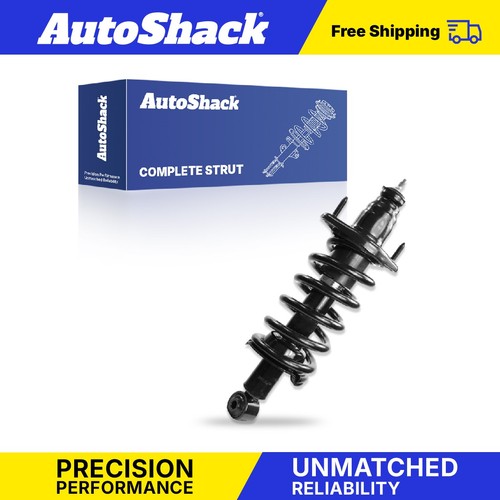 Rear complete strut - complete, coil