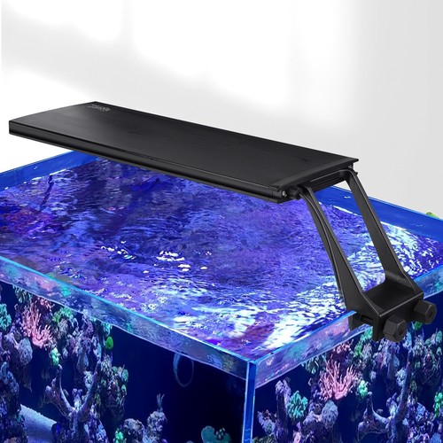 Hygger marine clip aquarium - marine, on