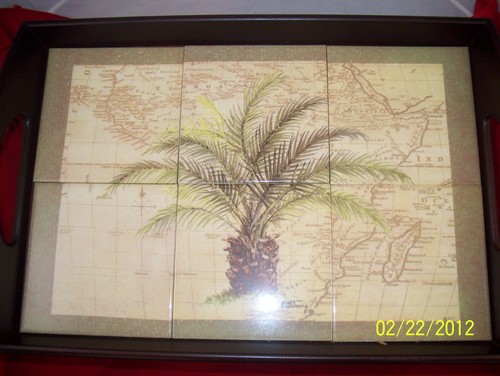 Sago palm tree - sago,