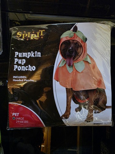 Dog pumpkin costume size - pumpkin,