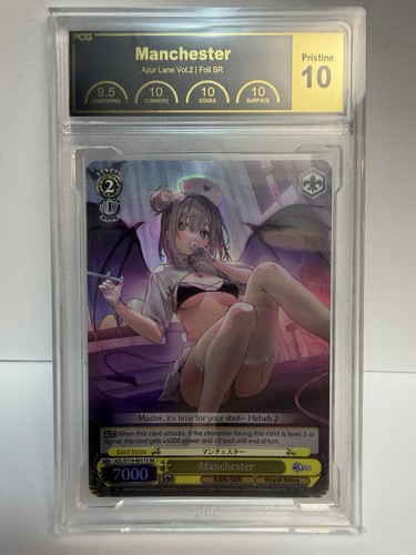 Manchester azl s119 - (sr), azl/s119-e011s