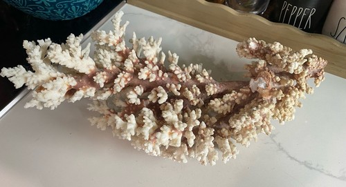 Large natural branch - large, 16”