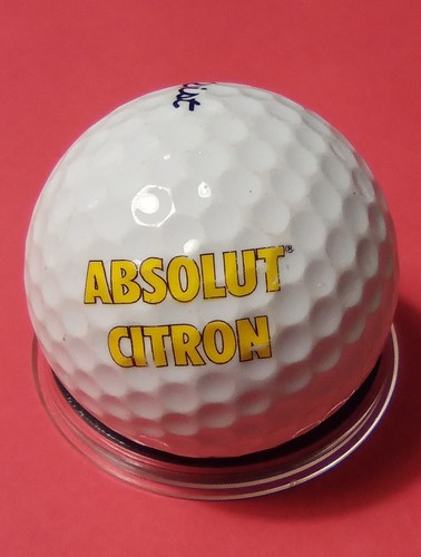 Absolut citron company logo - citron,