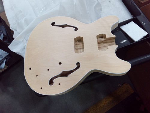 Electric guitar body - guitar,