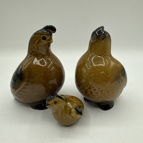 Vintage quail partridge - vintage, quail/partridge
