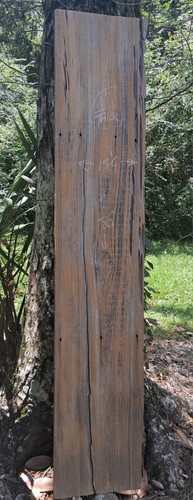 Long very tight - grain, old