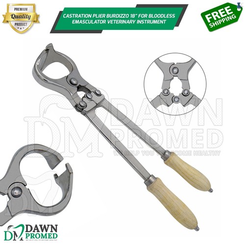 Castration plier burdizzo - plier, 18"