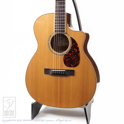Larrivee omv rosewood with - larrivee,