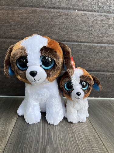 Duke beanie boo - boo, dog