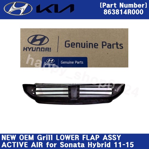 New oem grill - lower, flap