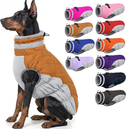 Dog jacket for - for, warm