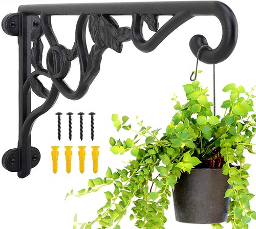 Heavy duty hanging plant - hanging,