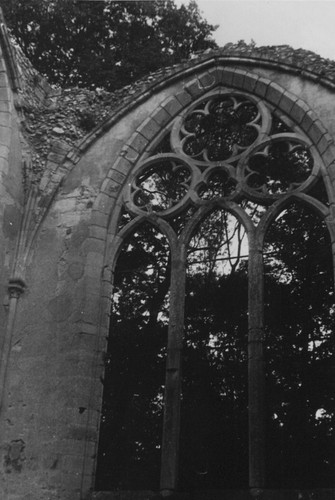Gothic church window - gothic,