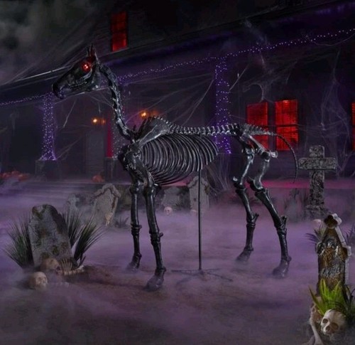6ft black skeleton horse - skeleton,