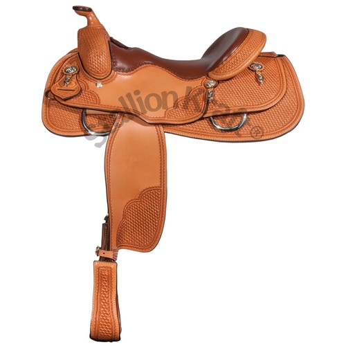 Professional western reining - professional,