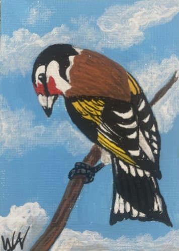 Aceo original atc european - ,, atc,