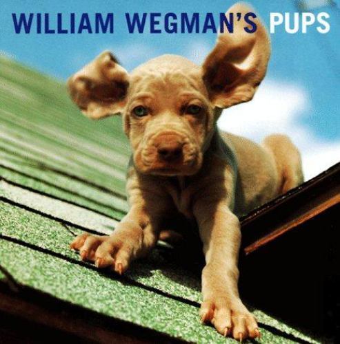 William wegman pups - william, wegman's