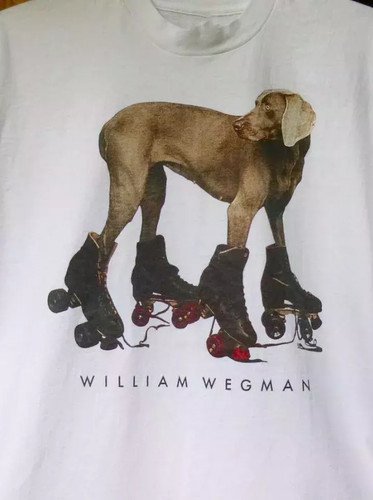 William wegman weimaraner - william, on