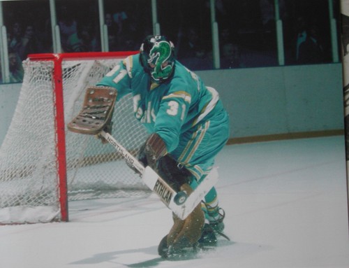 Nhl hockey photo print don - photo,