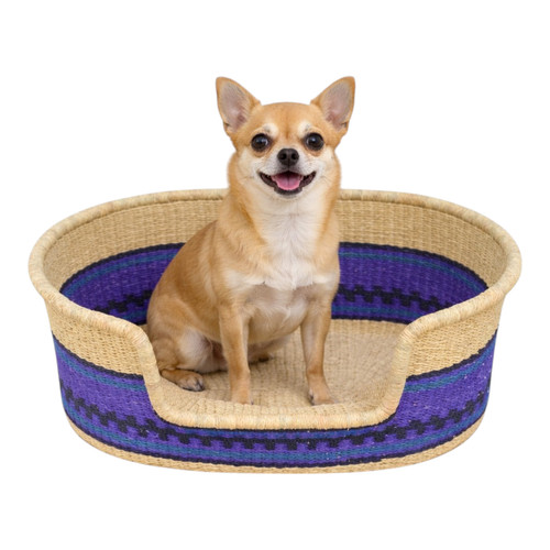Wicker dog bed basket - dog,