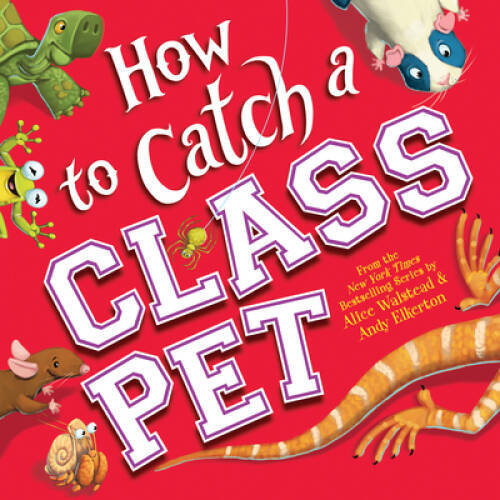 How catch class pet a - class, pet: