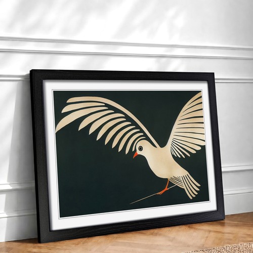 Incredible dove bird - incredible,
