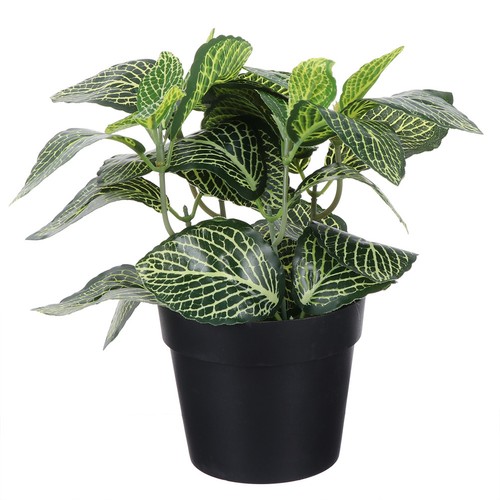 Green artificial plant - artificial,