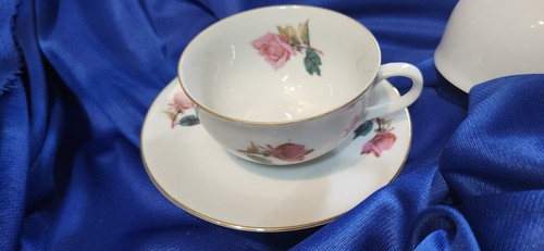 Bavarian creiditz fine china - bavarian,