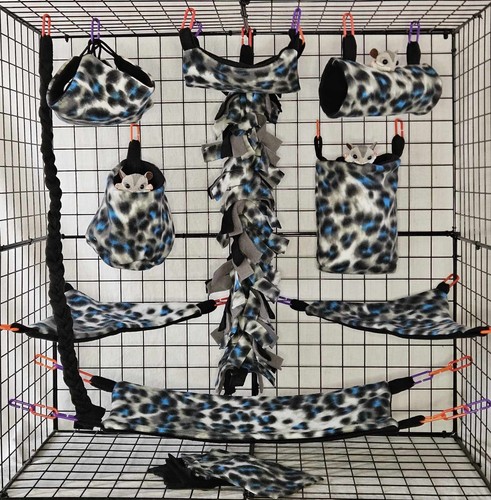 Snow leopard sugar glider - leopard*sugar, cage