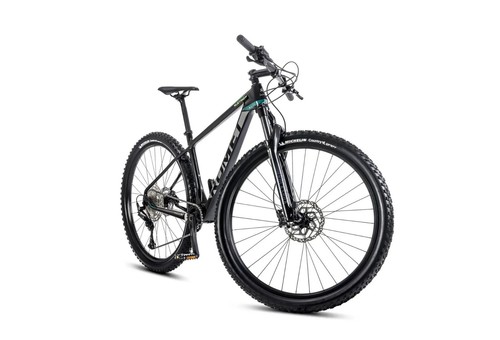 Mountain bike - mountain,