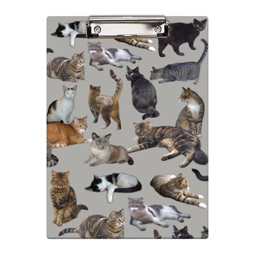 Clipboard decorative hardboard - clipboard,