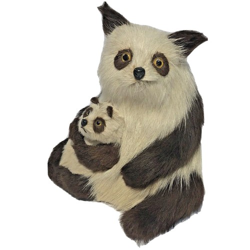 Vintage taxidermy panda bear - panda,