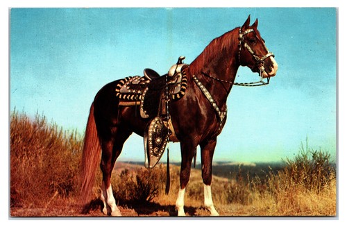 Vintage 1960s hoss horse - 1960s,