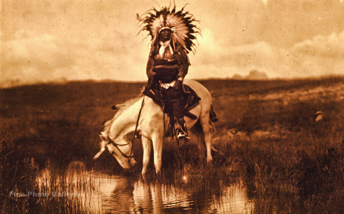 Vintage edward curtis cheyenne - curtis,