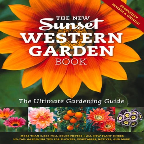 The new sunset - sunset, garden