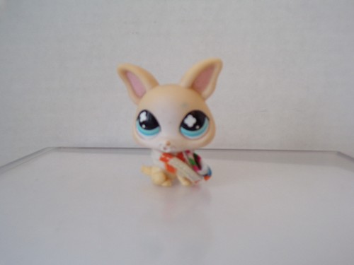 Littlest pet - littlest,