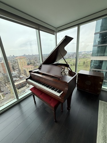 Steinway baby grand piano - baby,