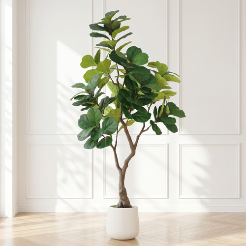 6ft artificial fiddle leaf - fiddle,