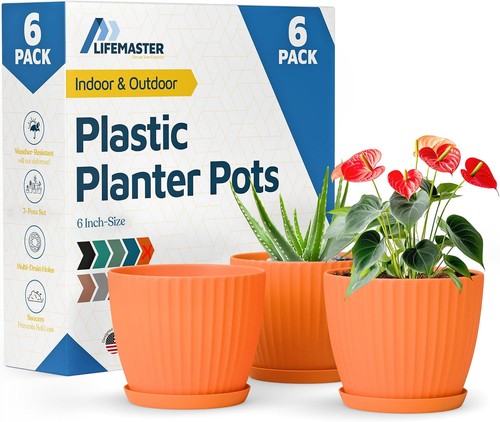 Yellow inch plant pots with - 6-inch,