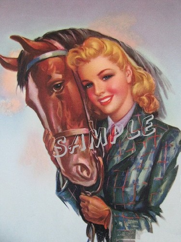 Equestrian horse english gear - english,