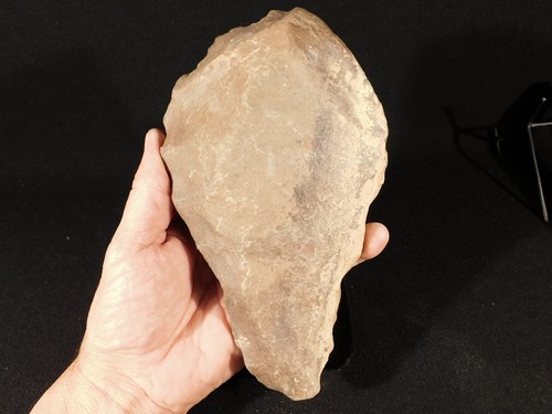 Huge one million year - huge!,