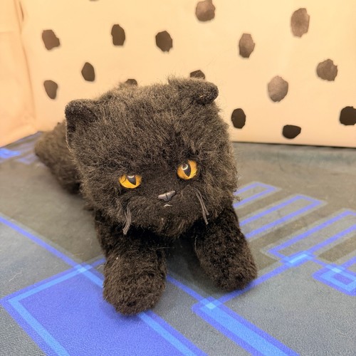 Vintage black persian cat - black,
