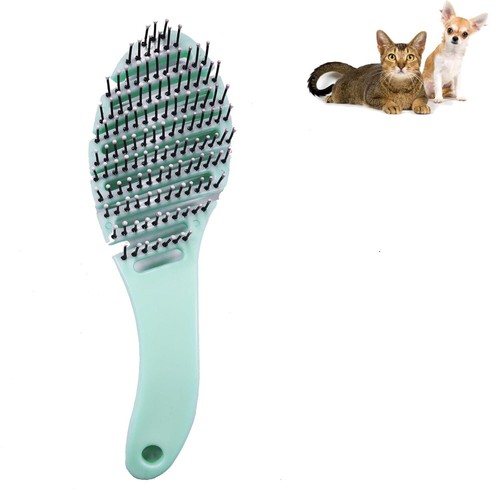 Small dog grooming - dog, brush